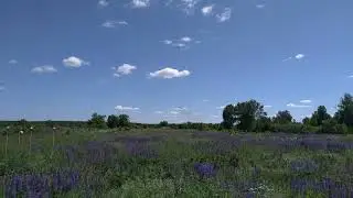 Возвращение А-50У с Парада Победы 24.06.2020г.