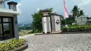 #ALEXANDRA