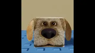 How to Find 