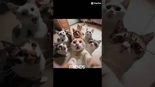 friendo😅