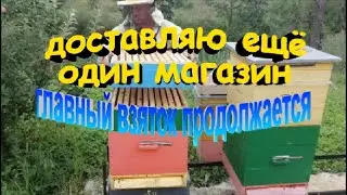 Доставляю ещё один магазин Главный взяток продолжается