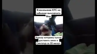 Кот орет в машине#мем#жиза#прикол#курьер#shorts