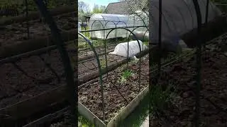 Альтернатива обычным теплицам и парникам, диги для открытого грунта
