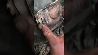 Это было в карманах погибшего летчика! 