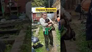 #Василий