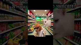 #cat #мем #ржака #dance #кот #suspectsmeme