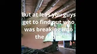 The impact of a haircut & Someone breaking into my cabin.