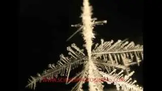 Snowflake crystal growth in a lab snow