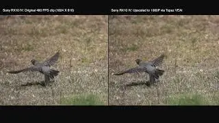 Sony RX10 480 FPS Topaz VEIA Upscale and Interpolation Test