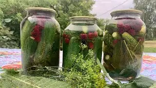 НОВИНКА !!! МАРИНОВАННЫЕ ОГУРЦЫ С ЕЖЕВИКОЙ НА ЗИМУ!!!