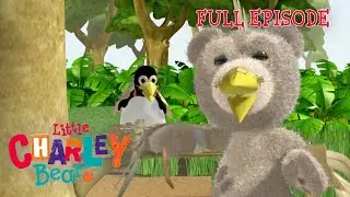 Little Charley Bear | BEAR AND BABY BIRD | Full Episode