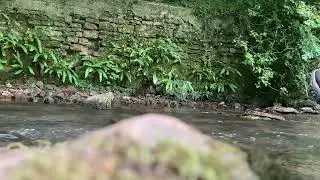 StoneOutFocus - BINAURAL river ambience