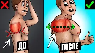 ПЛЕЧИ. ТОП 6 упражнений для БЫСТРОГО роста!