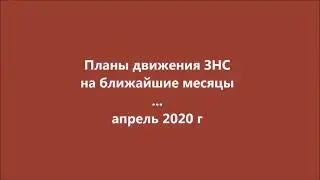 3.  Ближайшие планы движения За новый социализм