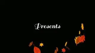 VPix Photographer - Theme