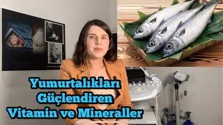 💊 Yumurtalıkları Güçlendiren Vitamin ve Mineraller