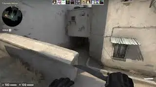 Silver Flick