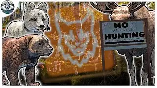 The Lintukoto 5 | Trolled by a Mt Reindeer