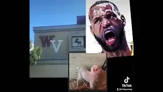 Lebron James The Goat
