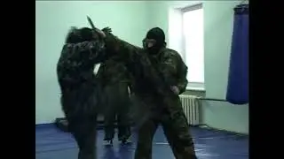 ТРЕНЬКА