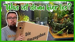 Aqua-Rundgang, jede Menge News und ein neues Aquarium