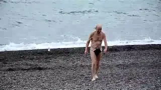 Морж на зимнем пляже в Сочи