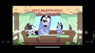 Muffin NO!!￼