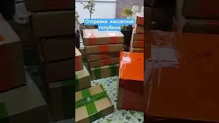#саженцыголубики