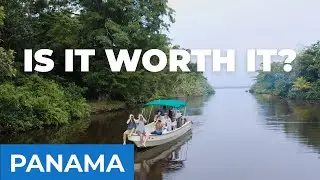 Birding by Boat - Worth It? | Panama Episode 2 | Field Guides