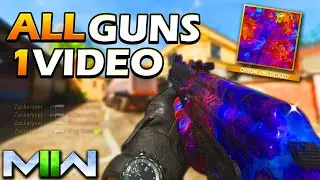 UNLOCKING ORION CAMO ON EVERY GUN IN 1 VIDEO...