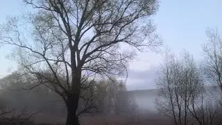 Экспедиция весна 2021