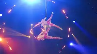 Circus Vazquez, NYC: Nov. 2021