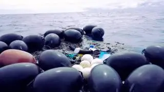 COORC Ocean Pollution