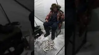 10.02.2021 Хабаровский край, Пгт. Лазарев. Под мысом. Вечёрка.