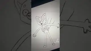 Kogu glitches 