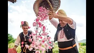 Празник на Розата 2020