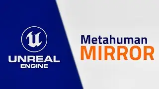 Metahumans Mirror Animation - Unreal Engine 5