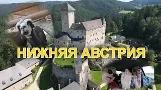 Выходные в Австрии. Замок Раппоттенштайн, ферма с альпаками