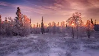 С Новым Годом, вас, ребята! Читать описание!