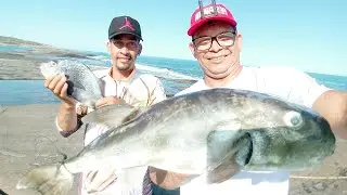 Teve surpresa boa néssa pescaria de còstão