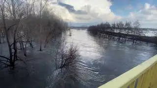Речка выходит из берегов #water #рекомендации