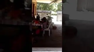 BOKEP