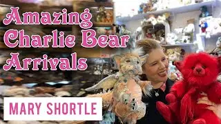 Amazing Charlie Bear Arrivals