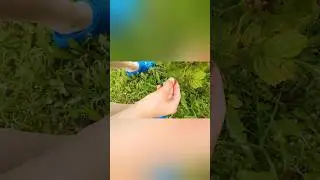 сезон Малинки начался