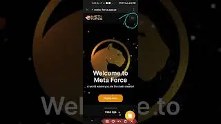 How To Clear Caches and Login to Your Meta Force Ecosystem
