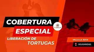 Liberación de TORTUGAS 🐢 querían acabar con un campamento TORTUGUERO ☠️