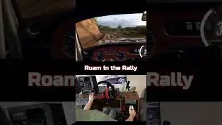 "Here we go again..."😈🤤 #rally #dirt #simracing #nextlevelracing #dirtrally #steeringwheel