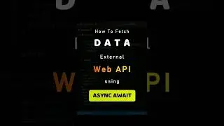 How To Fetch Data From an External Web API using Async Await. 