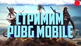 ЛАМПОВЫЙ СТРИМ / PUBG MOBILE