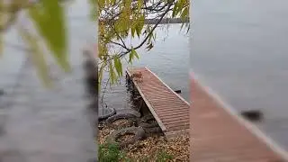 ОСЕНЬ